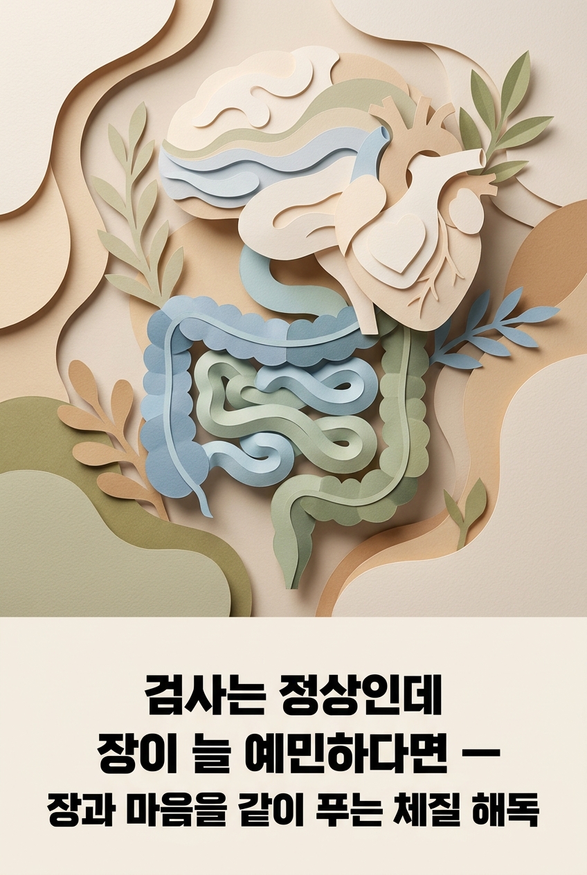 검사는 정상인데 장이 늘 예민하다면 — 장과 마음을 같이 푸는 체질 해독