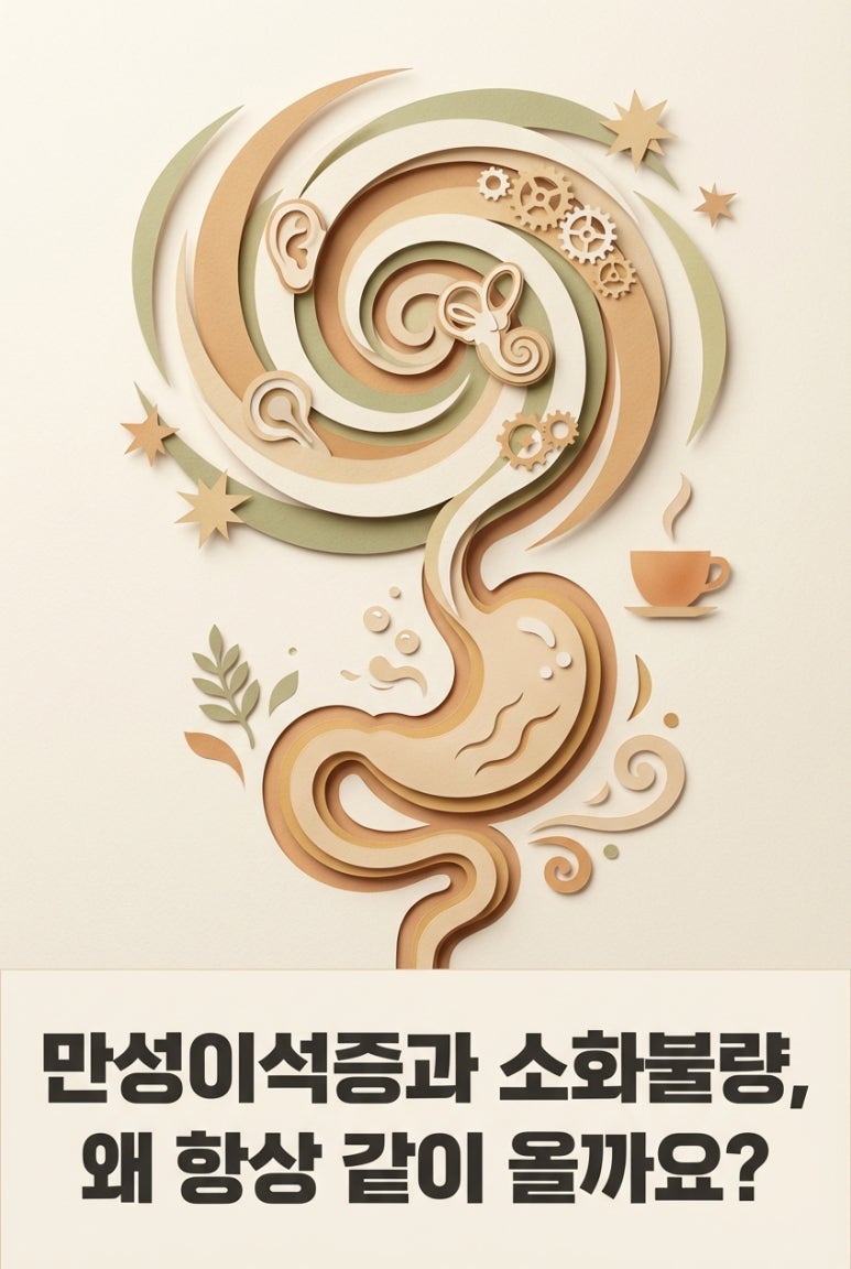 만성이석증과 소화불량, 왜 항상 같이 올까요?